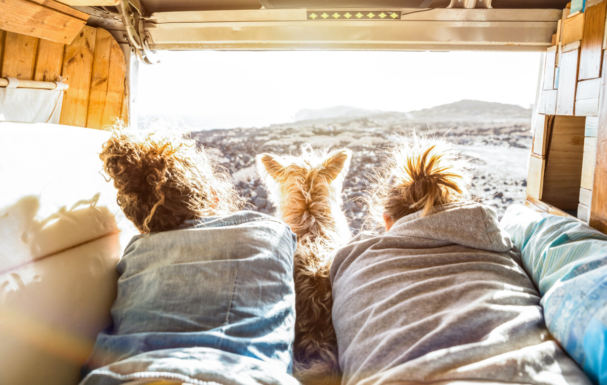 No dejes de disfrutar de ‘tu mejor amigo’ en vacaciones con tu furgoneta camperizada